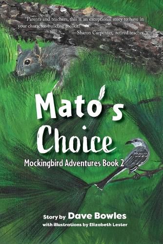 Cover image for Mato's Choice