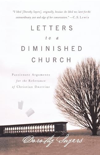 Cover image for Letters to a Diminished Church: Passionate Arguments for the Relevance of Christian Doctrine