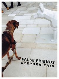 Cover image for False Friends