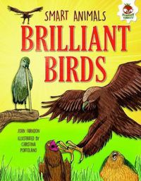 Cover image for Brilliant Birds: Ace Mimics, Night Hunters and Epic Journeys