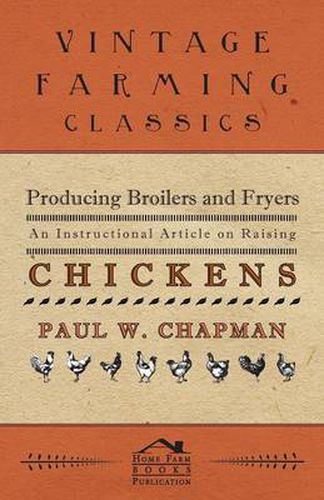 Cover image for Producing Broilers and Fryers - An Instructional Article on Raising Chickens