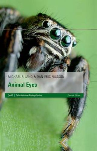 Cover image for Animal Eyes