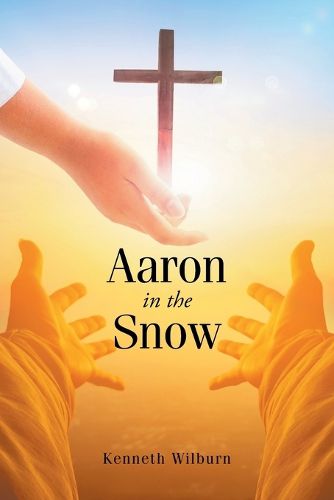 Cover image for Aaron in the Snow