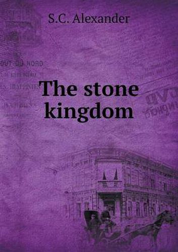 Cover image for The stone kingdom