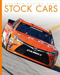 Cover image for Stock Cars