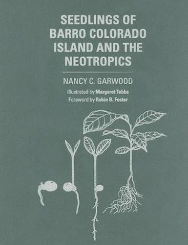 Cover image for Seedlings of Barro Colorado Island and the Neotropics