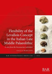 Cover image for Flexibility of the Levallois Concept in the Italian Late Middle Palaeolithic