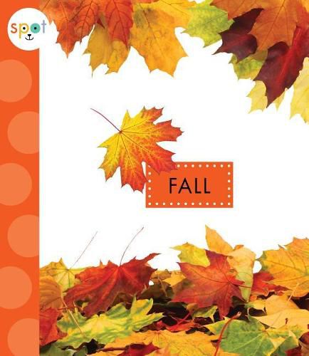 Cover image for Fall