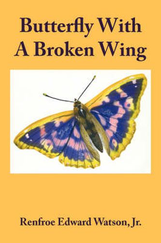 Cover image for Butterfly with a Broken Wing