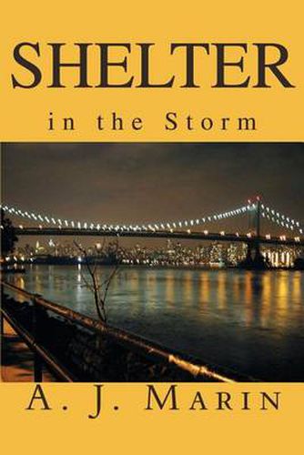 Cover image for Shelter in the Storm