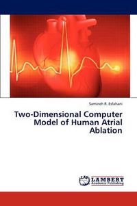 Cover image for Two-Dimensional Computer Model of Human Atrial Ablation