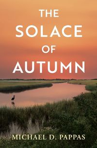 Cover image for The Solace of Autumn