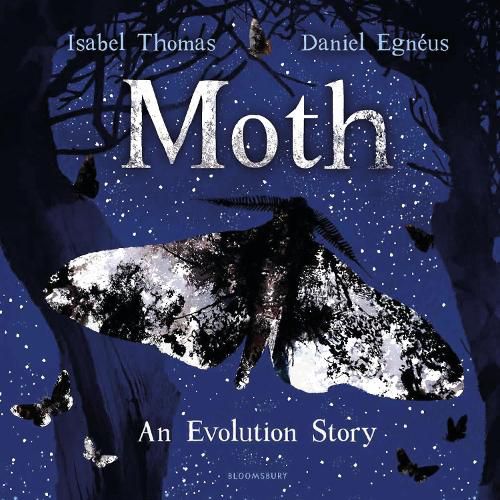 Cover image for Moth: An Evolution Story
