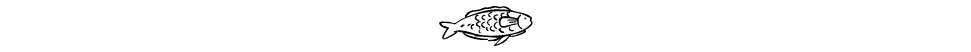 Fish illustration