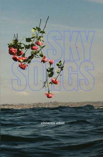 Cover image for Sky Songs