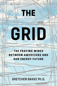 Cover image for The Grid: The Fraying Wires Between Americans and Our Energy Future