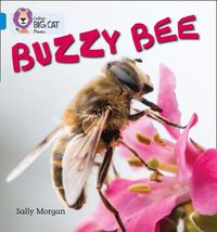 Cover image for Buzzy Bees: Band 04/Blue