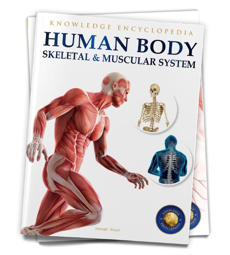 Cover image for Human Body