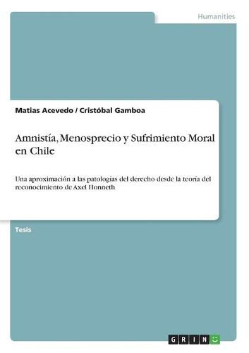 Cover image for Amnistia, Menosprecio y Sufrimiento Moral en Chile: Una aproximacion a las patologias del derecho desde la teoria del reconocimiento de Axel Honneth