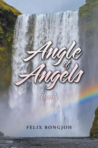 Cover image for Angle of Angels