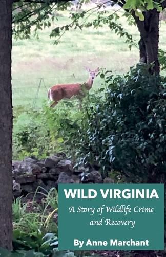 Cover image for Wild Virginia