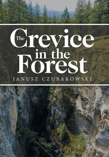 Cover image for The Crevice in the Forest