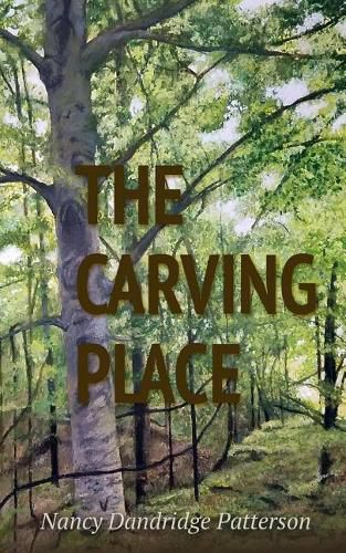 Cover image for The Carving Place