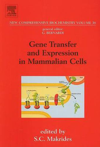 Cover image for Gene Transfer and Expression in Mammalian Cells