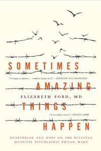Cover image for Sometimes Amazing Things Happen: Heartbreak and Hope on the Bellevue Hospital Psychiatric Prison Ward