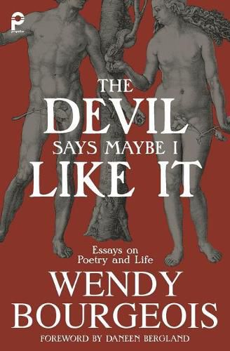 Cover image for The Devil Says Maybe I Like It: Essays on Poetry and Life