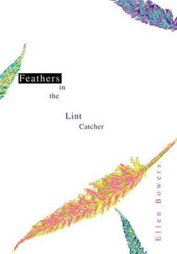 Cover image for Feathers in the Lint Catcher