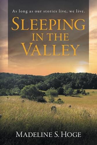 Cover image for Sleeping In the Valley