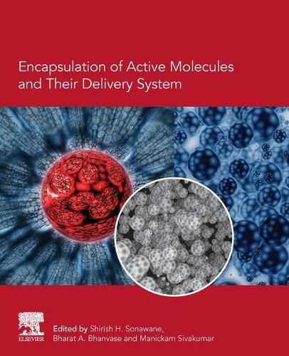 Cover image for Encapsulation of Active Molecules and Their Delivery System