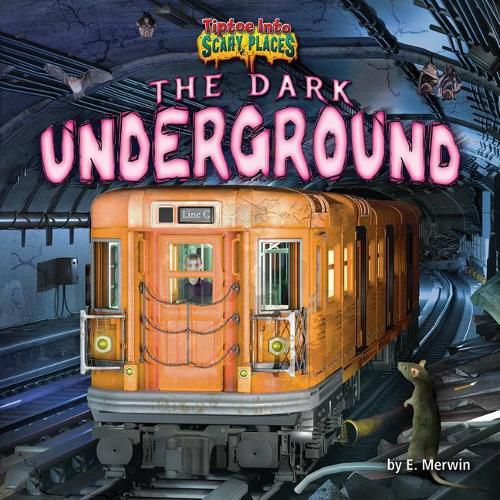 Cover image for The Dark Underground