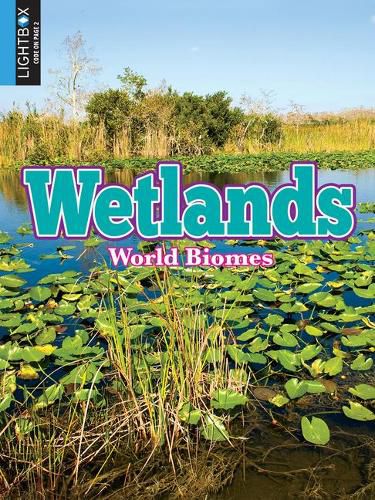 Cover image for Wetlands