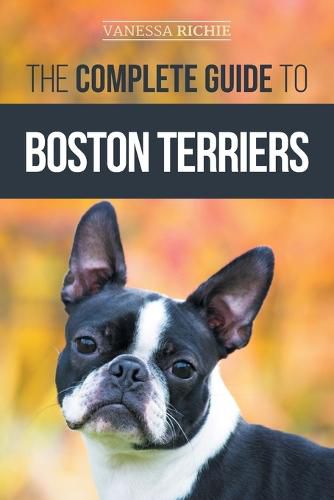 Cover image for The Complete Guide to Boston Terriers