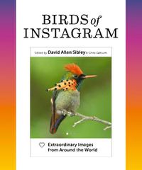 Cover image for Birds of Instagram: Extraordinary Images from Around the World