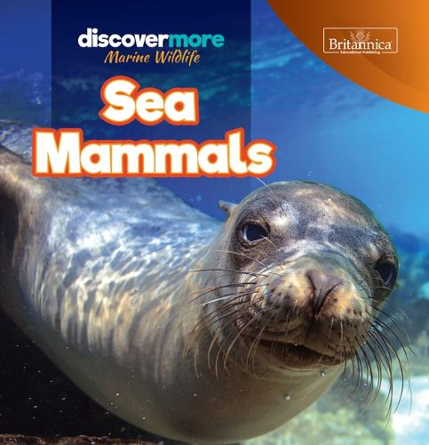 Cover image for Sea Mammals