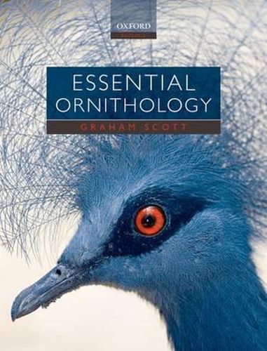 Cover image for Essential Ornithology