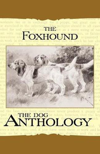 The Foxhound & Harrier - A Dog Anthology (A Vintage Dog Books Breed Classic)