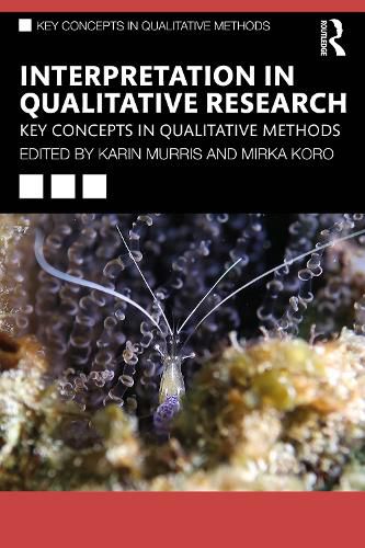 Cover image for Interpretation in Qualitative Research