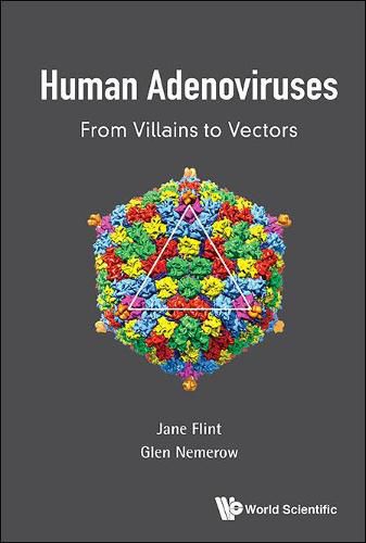 Cover image for Human Adenoviruses: From Villains To Vectors