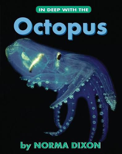Cover image for In Deep with the Octopus
