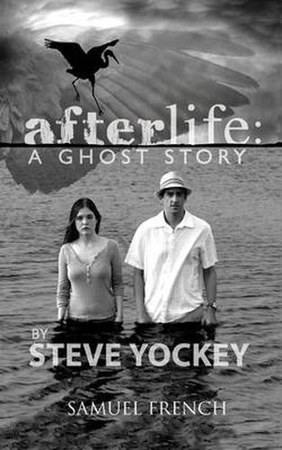 Cover image for Afterlife: A Ghost Story