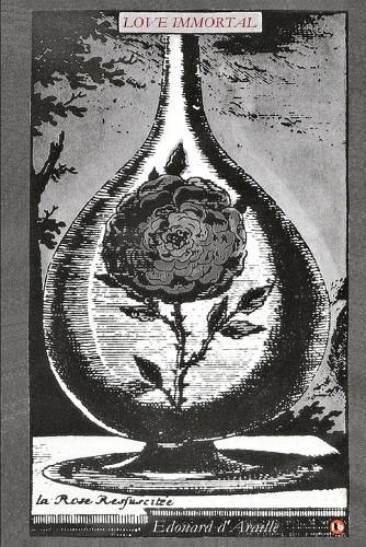 Cover image for Love Immortal