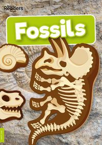 Cover image for Fossils