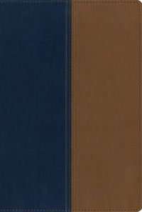 Cover image for NIV, KJV, Parallel Bible, Large Print, Leathersoft, Navy/Tan: The World's Two Most Popular Bible Translations Together