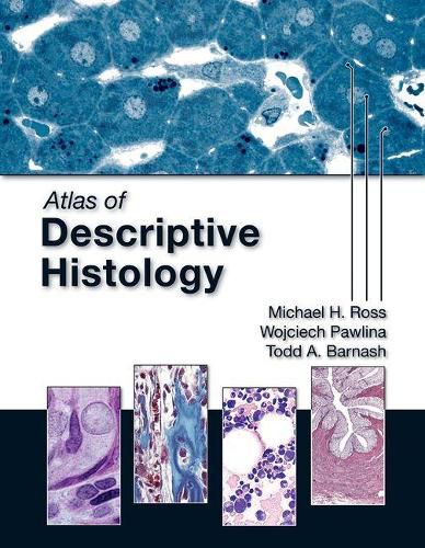 Cover image for Atlas of Descriptive Histology