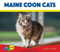 Cover image for Maine Coon Cats