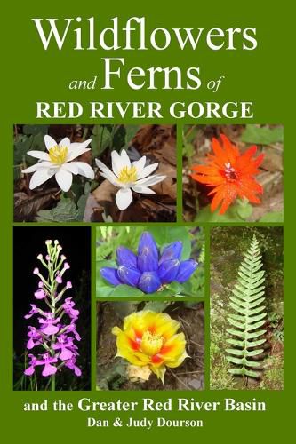 Cover image for Wildflowers and Ferns of Red River Gorge and the Greater Red River Basin